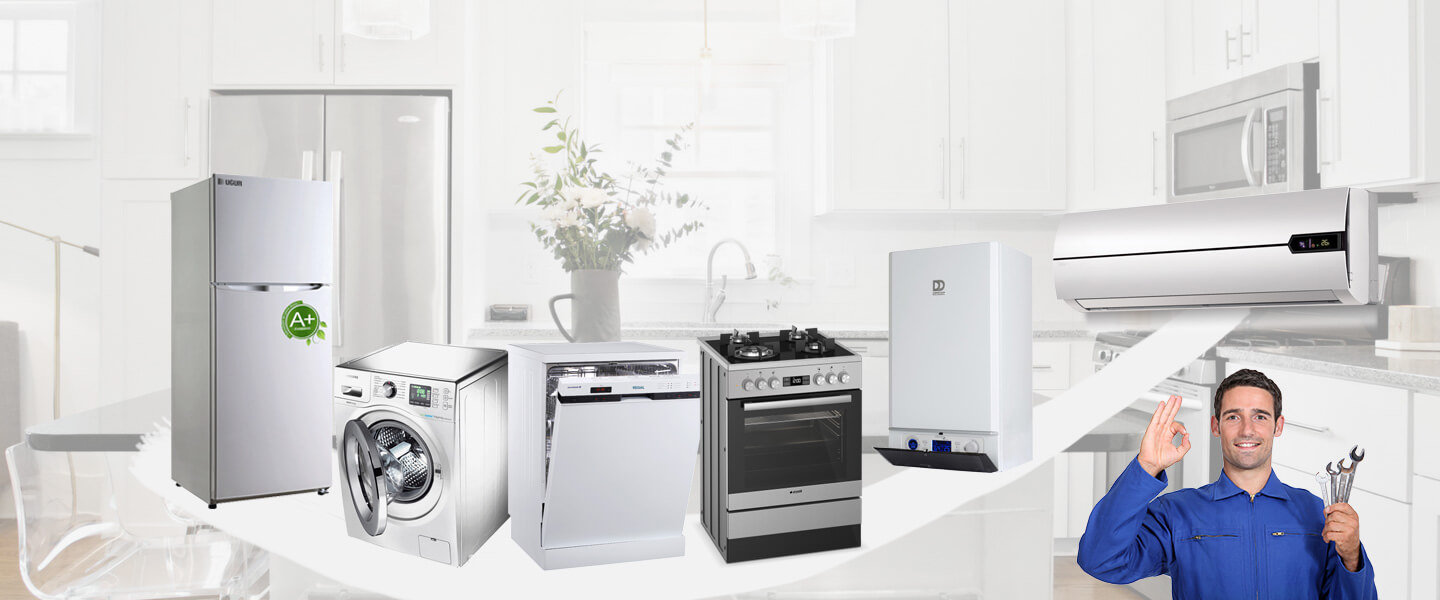 Eğil Warmhaus Servisi